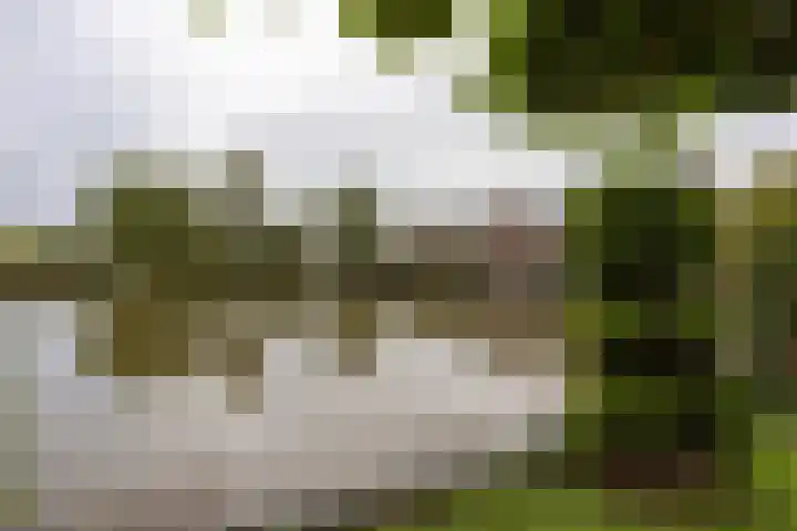 Klapwijkse Zoom 205 Berkel en Rodenrijs thumbnail 40