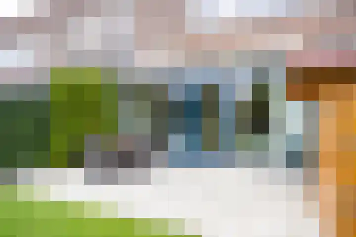 Klapwijkse Zoom 205 Berkel en Rodenrijs thumbnail 41