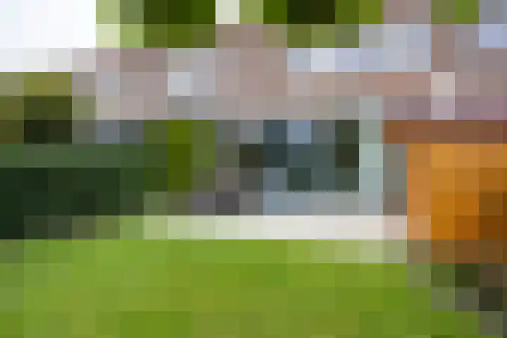Klapwijkse Zoom 205 Berkel en Rodenrijs thumbnail 43