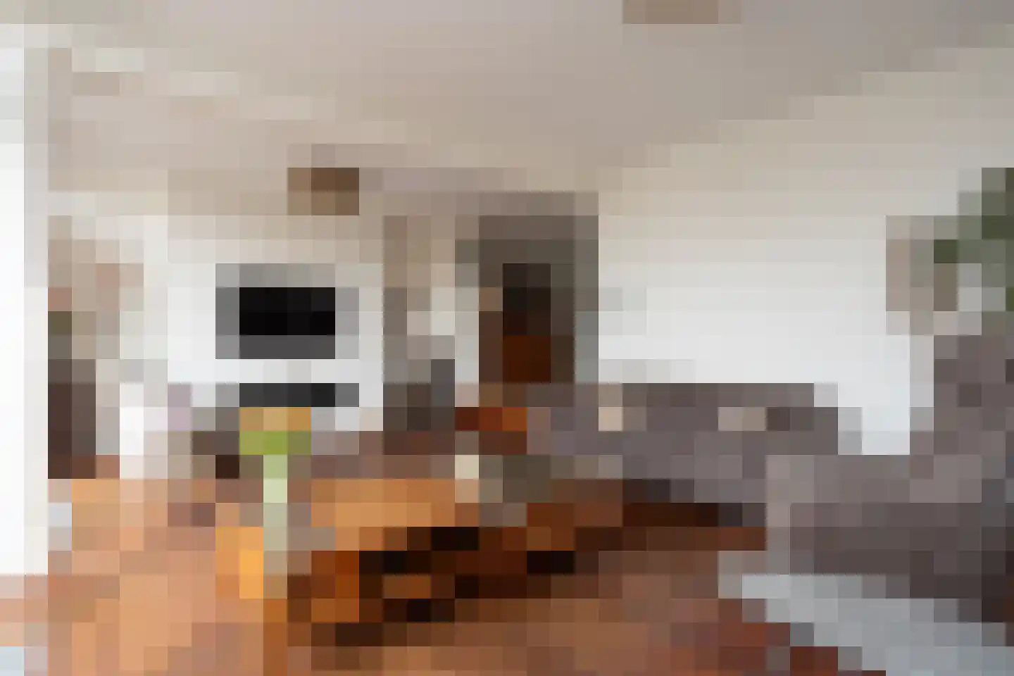 Klapwijkse Zoom 207 Berkel en Rodenrijs thumbnail 10