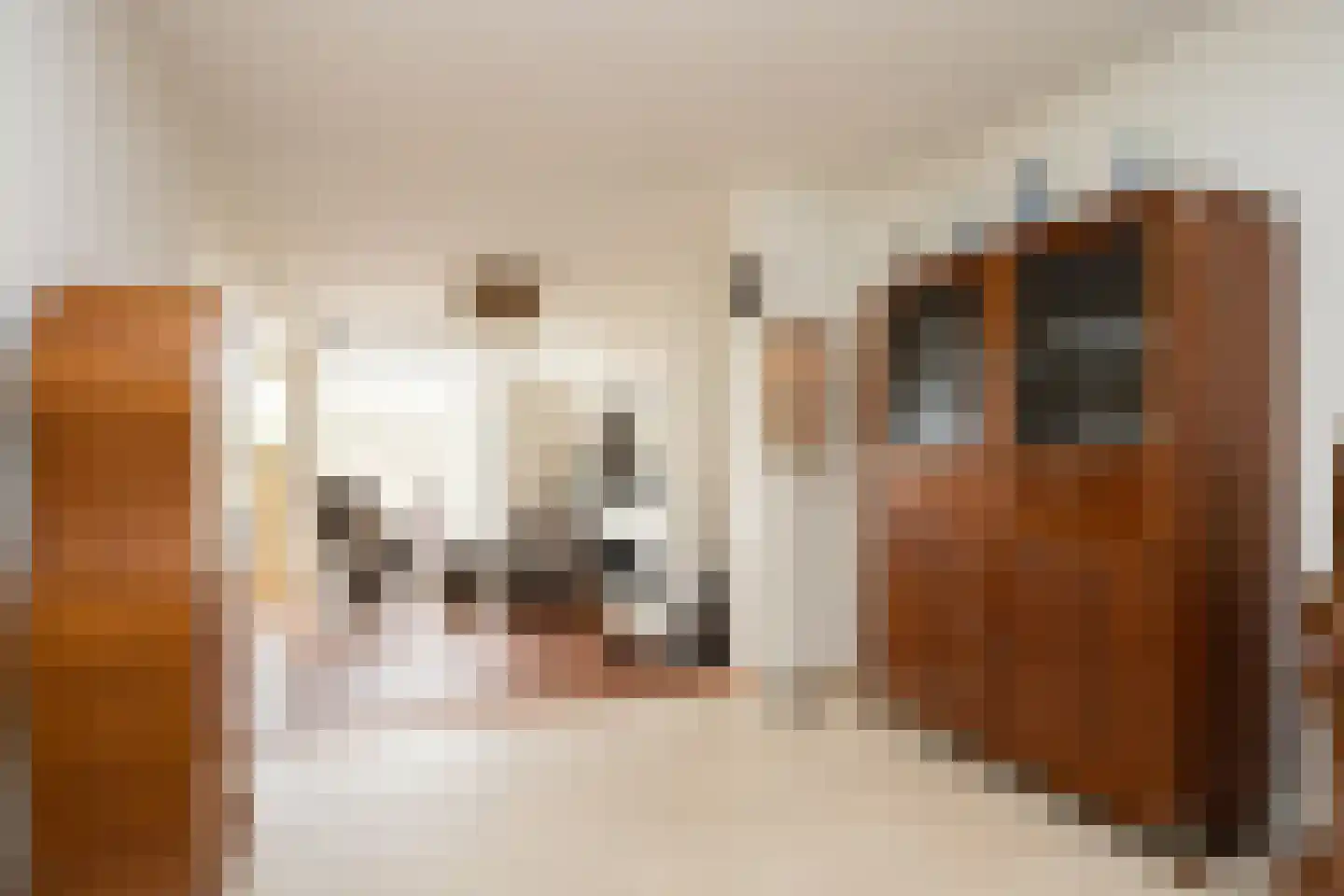 Klapwijkse Zoom 207 Berkel en Rodenrijs thumbnail 17