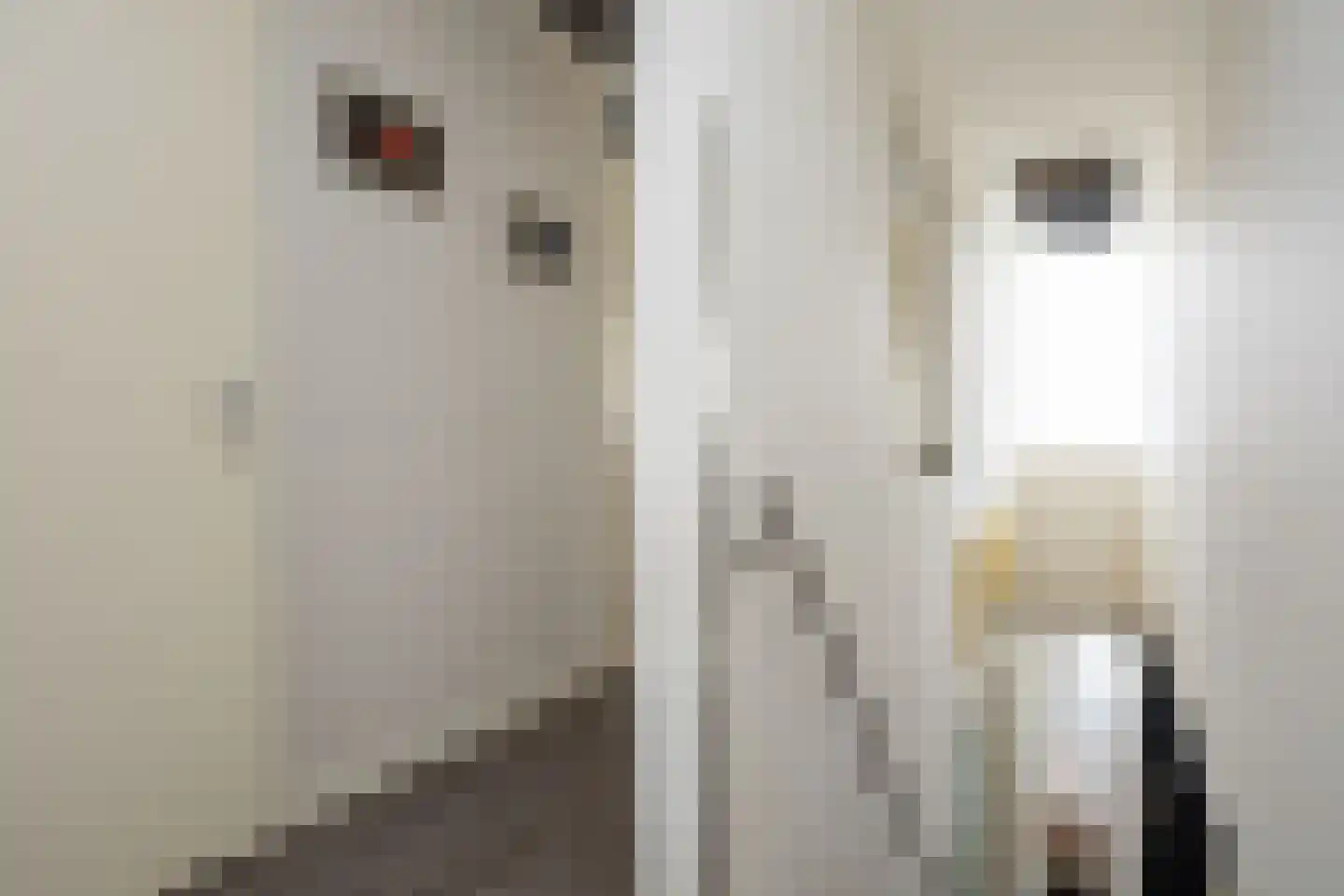Klapwijkse Zoom 207 Berkel en Rodenrijs thumbnail 26