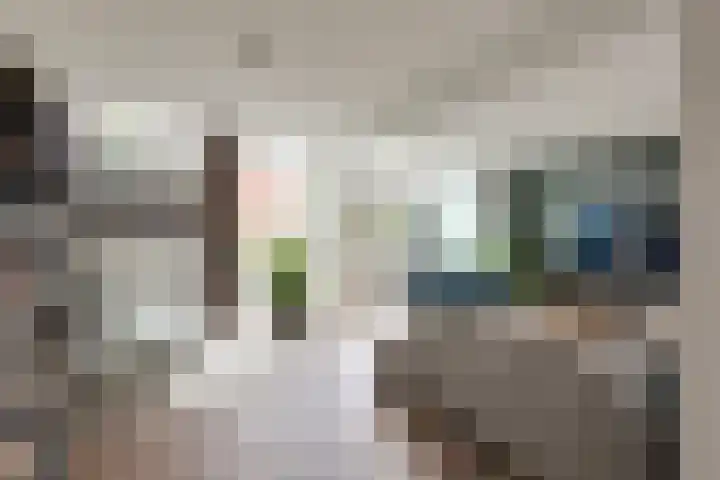 Klapwijkse Zoom 219 Berkel en Rodenrijs thumbnail 10