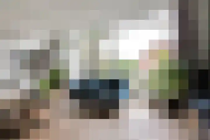Klapwijkse Zoom 219 Berkel en Rodenrijs thumbnail 13