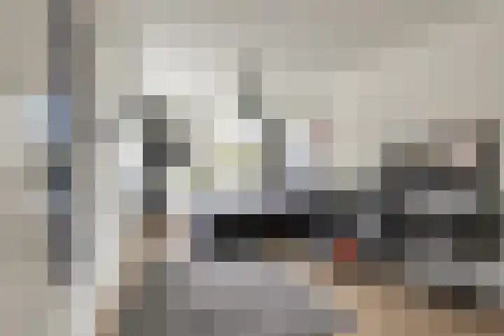 Klapwijkse Zoom 219 Berkel en Rodenrijs thumbnail 26