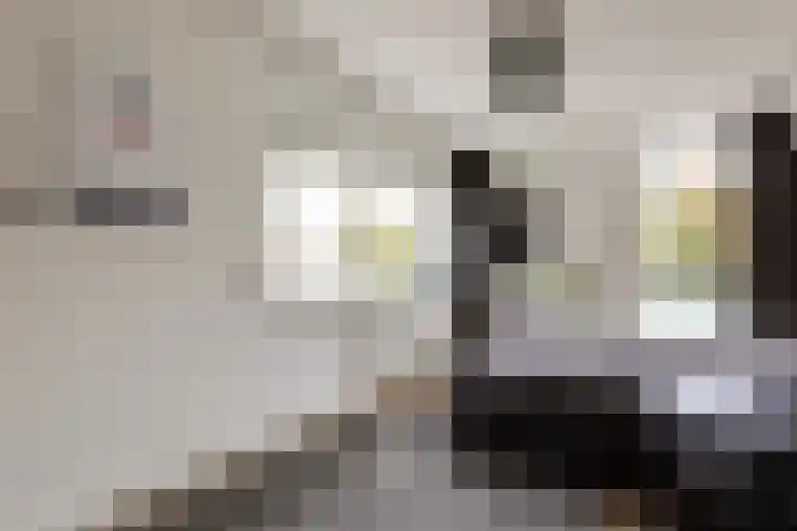 Klapwijkse Zoom 219 Berkel en Rodenrijs thumbnail 27