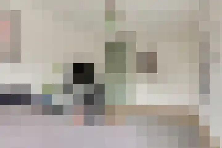 Klapwijkse Zoom 219 Berkel en Rodenrijs thumbnail 28