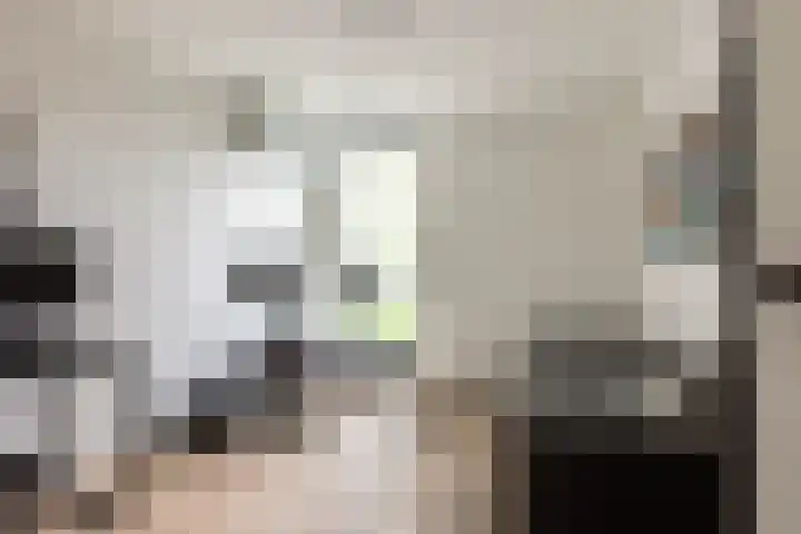 Klapwijkse Zoom 219 Berkel en Rodenrijs thumbnail 32