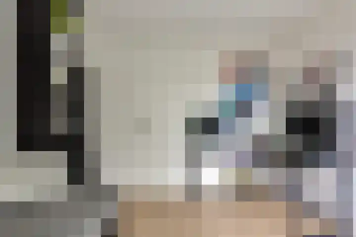 Klapwijkse Zoom 219 Berkel en Rodenrijs thumbnail 33