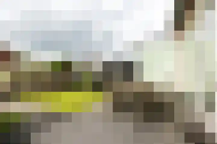 Klapwijkse Zoom 219 Berkel en Rodenrijs thumbnail 37