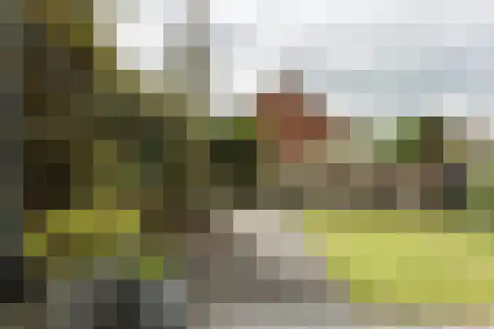 Klapwijkse Zoom 219 Berkel en Rodenrijs thumbnail 38