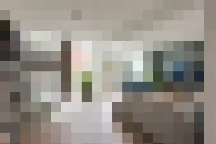Klapwijkse Zoom 219 Berkel en Rodenrijs thumbnail 4