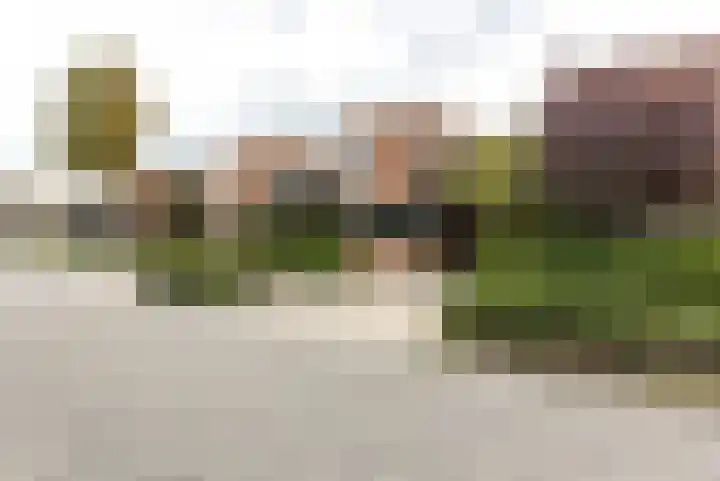 Klapwijkse Zoom 219 Berkel en Rodenrijs thumbnail 5