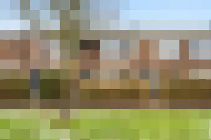 Klapwijkse Zoom 320 Berkel en Rodenrijs