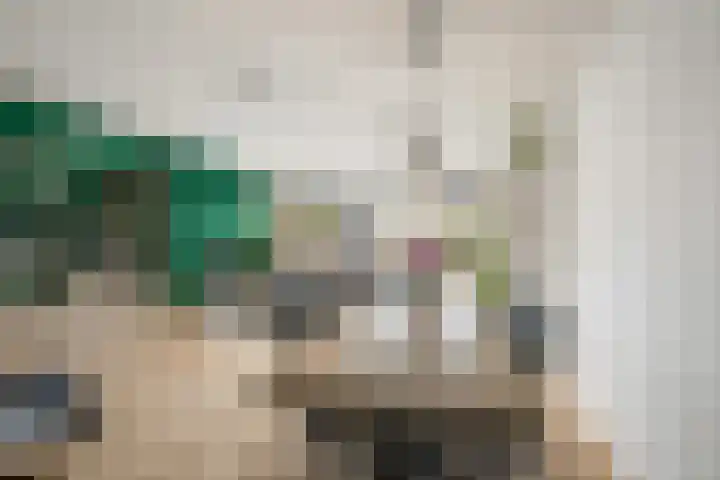 Klapwijkse Zoom 320 Berkel en Rodenrijs thumbnail 11