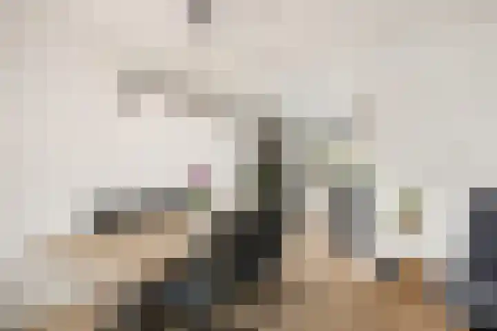 Klapwijkse Zoom 320 Berkel en Rodenrijs thumbnail 12