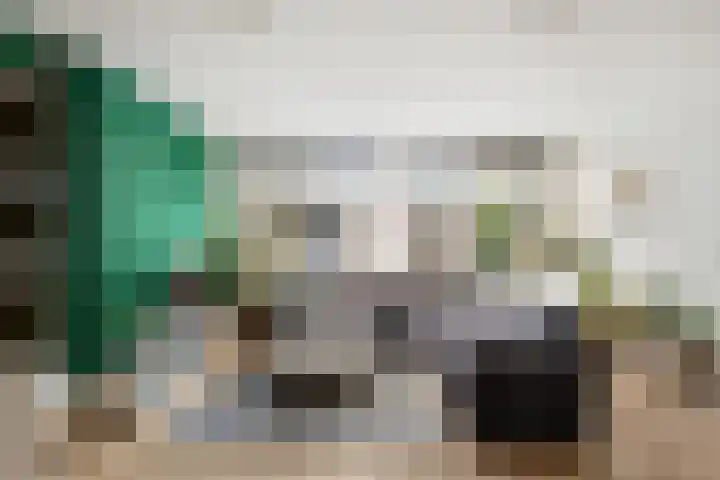 Klapwijkse Zoom 320 Berkel en Rodenrijs thumbnail 13