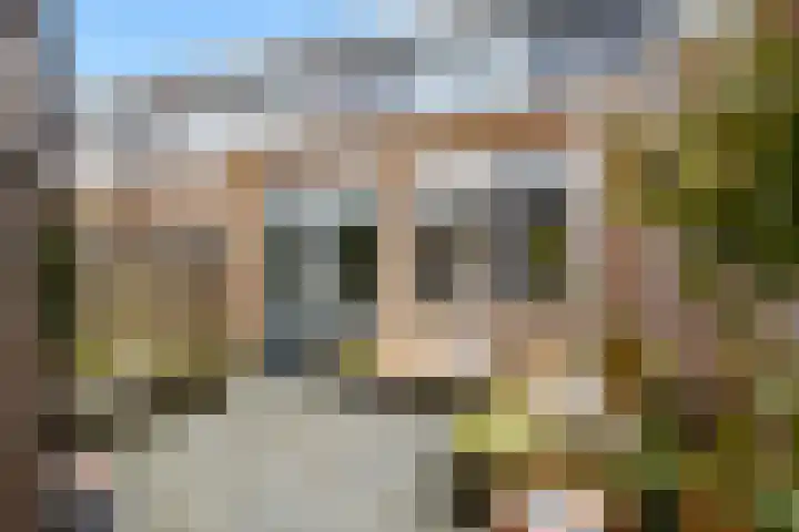 Klapwijkse Zoom 320 Berkel en Rodenrijs thumbnail 16