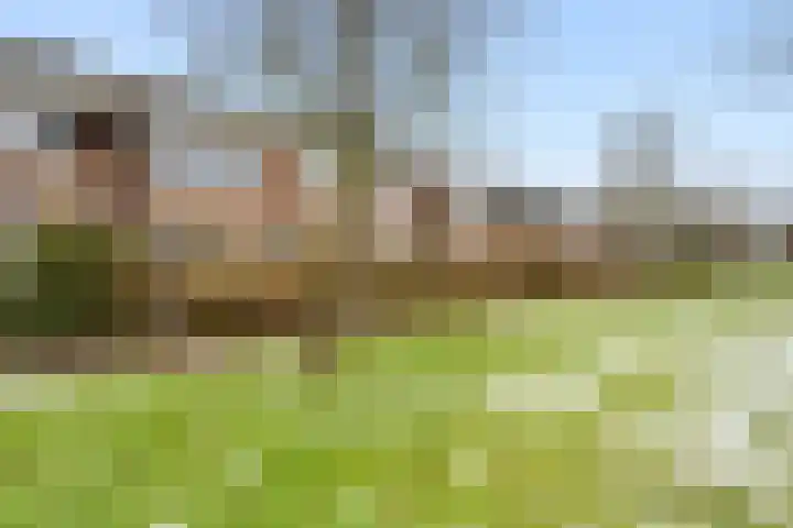 Klapwijkse Zoom 320 Berkel en Rodenrijs thumbnail 32