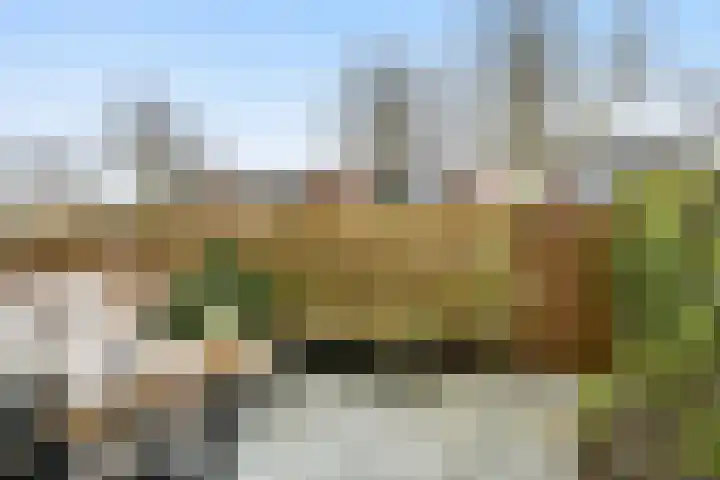 Klapwijkse Zoom 320 Berkel en Rodenrijs thumbnail 4