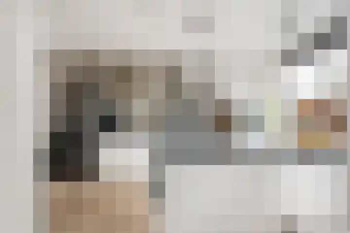 Klapwijkse Zoom 320 Berkel en Rodenrijs thumbnail 7
