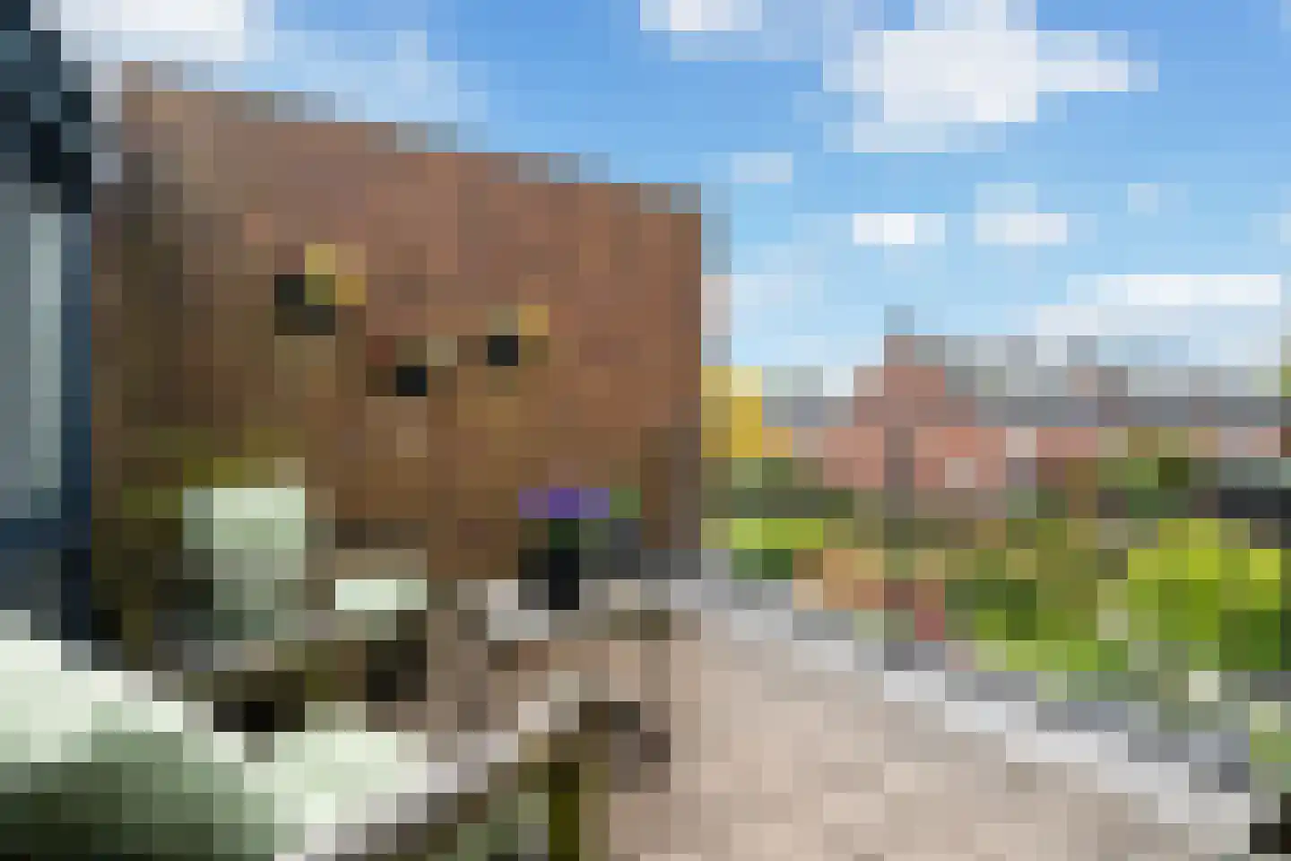 Klapwijkse Zoom 321 Berkel en Rodenrijs thumbnail 31
