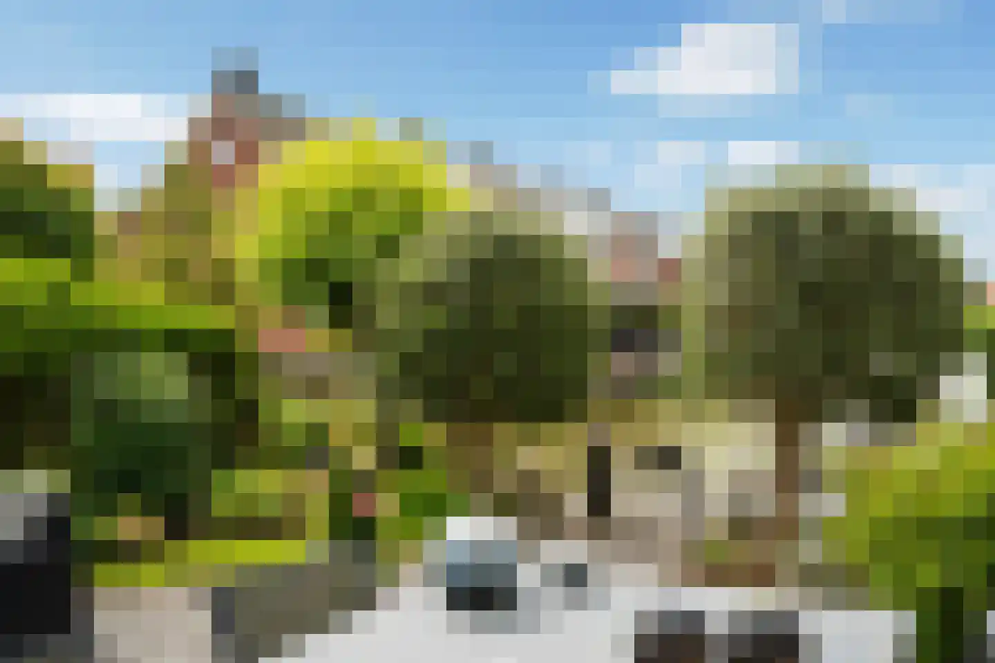 Klapwijkse Zoom 321 Berkel en Rodenrijs thumbnail 39