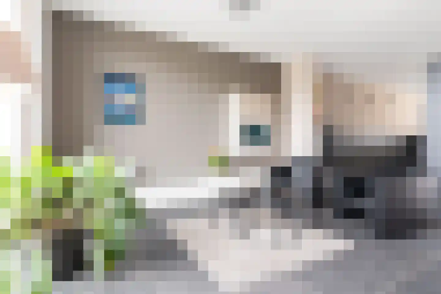 Klapwijkse Zoom 321 Berkel en Rodenrijs thumbnail 9