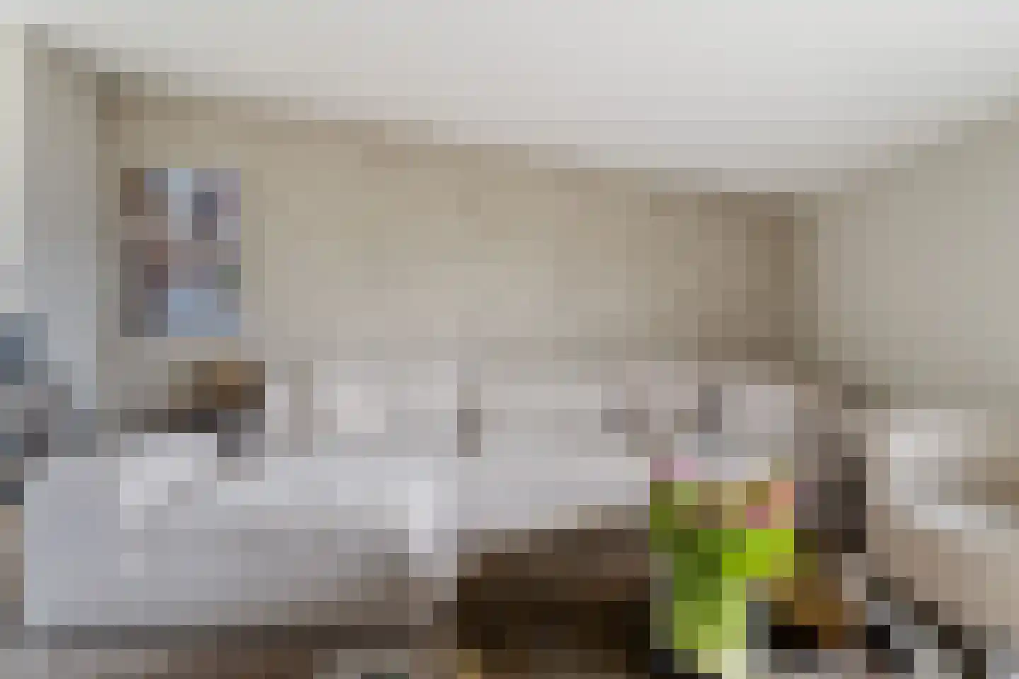 Klapwijkse Zoom 95 c Berkel en Rodenrijs thumbnail 18