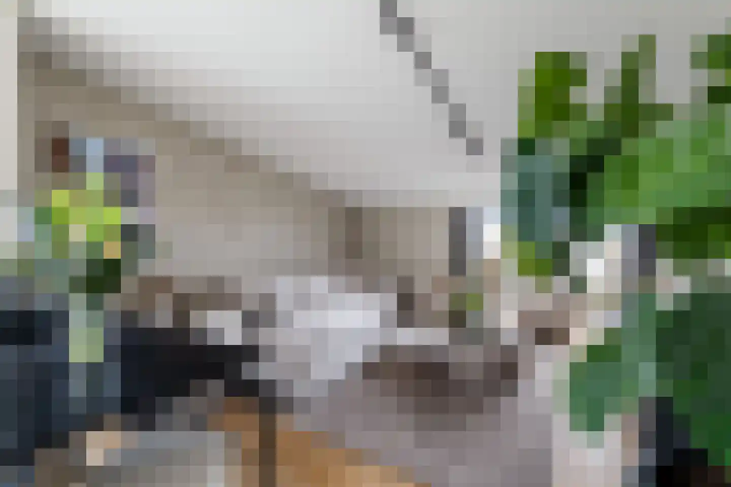 Klapwijkse Zoom 95 c Berkel en Rodenrijs thumbnail 22