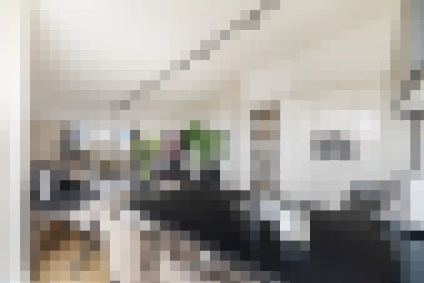 Klapwijkse Zoom 95 c Berkel en Rodenrijs thumbnail 27