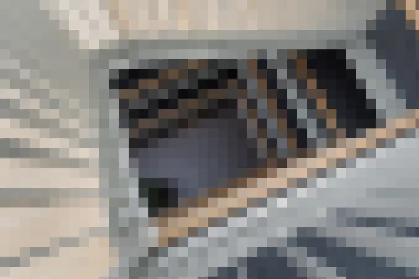 Klapwijkse Zoom 95 c Berkel en Rodenrijs thumbnail 54