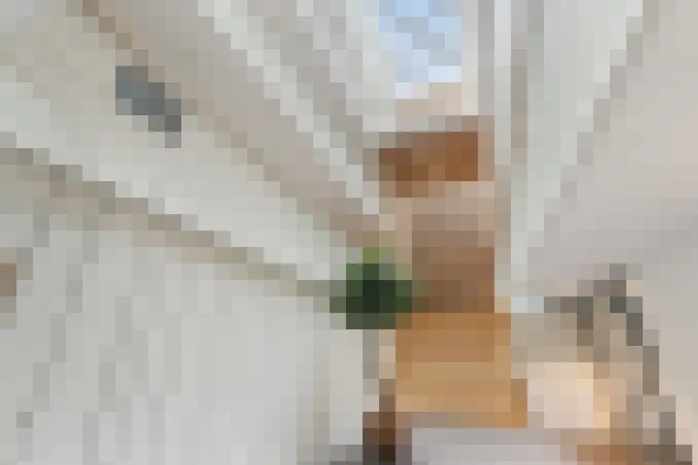 Klapwijkse Zoom 95 c Berkel en Rodenrijs thumbnail 9