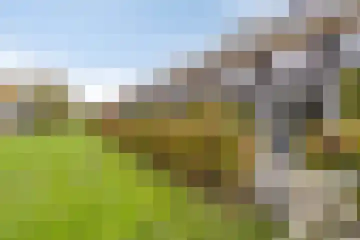 Klapwijksepad 32 Berkel en Rodenrijs thumbnail 65