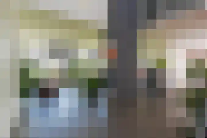 Klapwijkseweg 27 b Pijnacker thumbnail 15