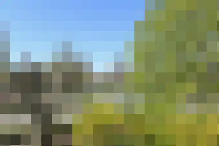 Klapwijkseweg 27 b Pijnacker thumbnail 43