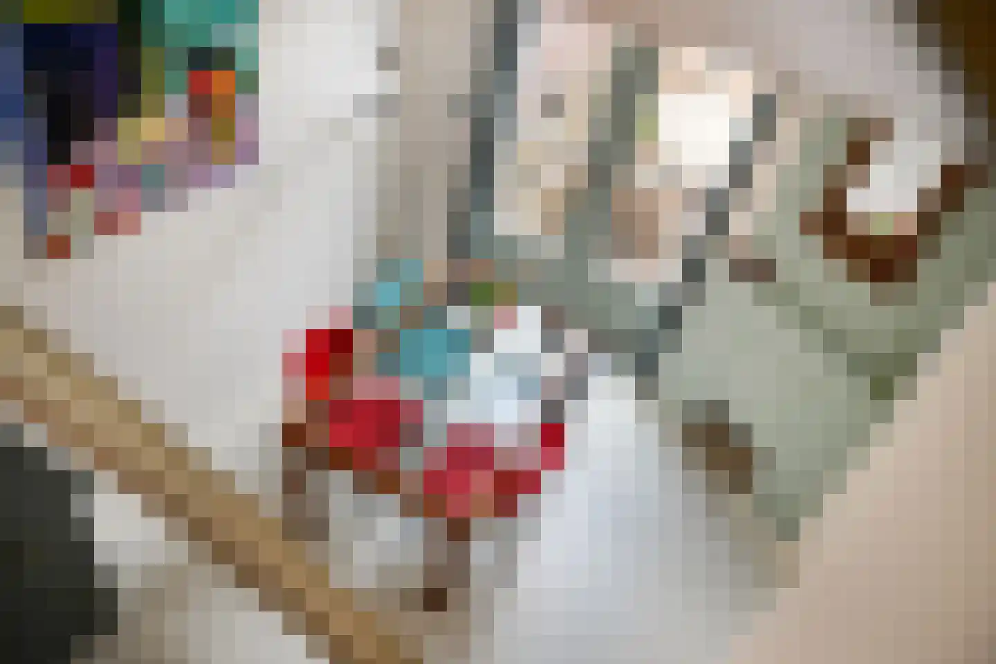 Klarenbeekstraat 33 Haarlem thumbnail 16