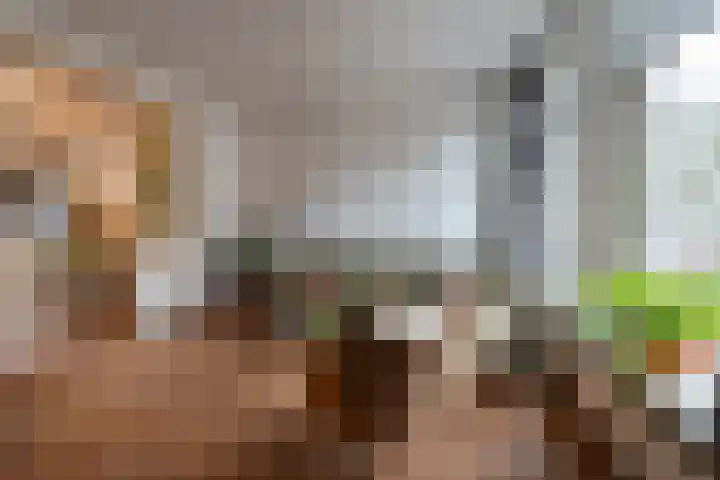 Klarenbeekstraat 55 RD Haarlem thumbnail 16