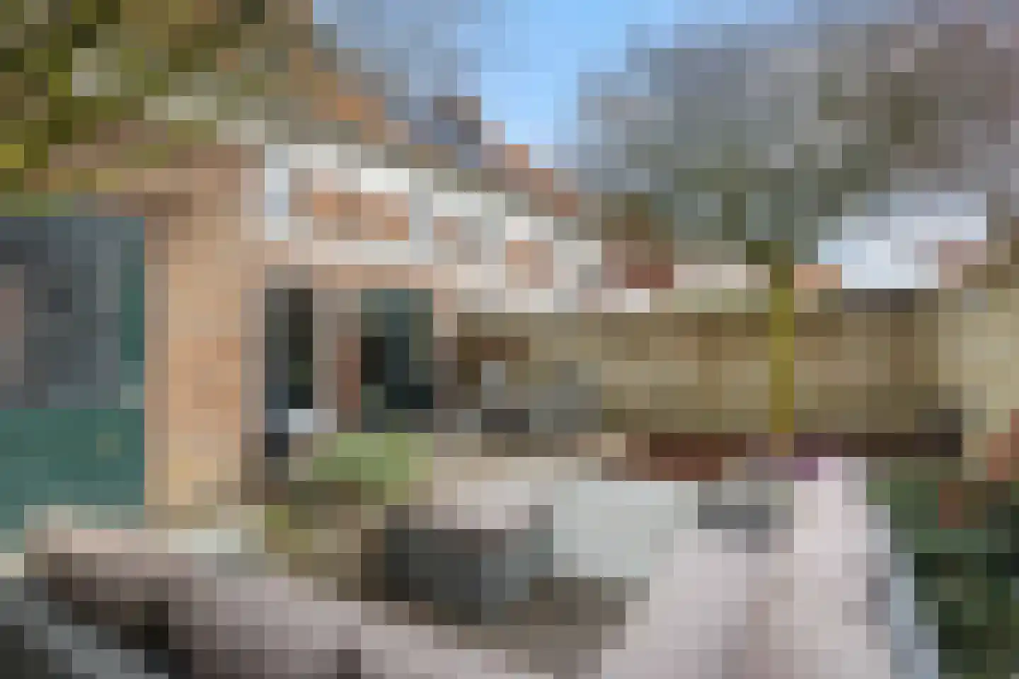 Klarenbeemden 46 Helmond thumbnail 37