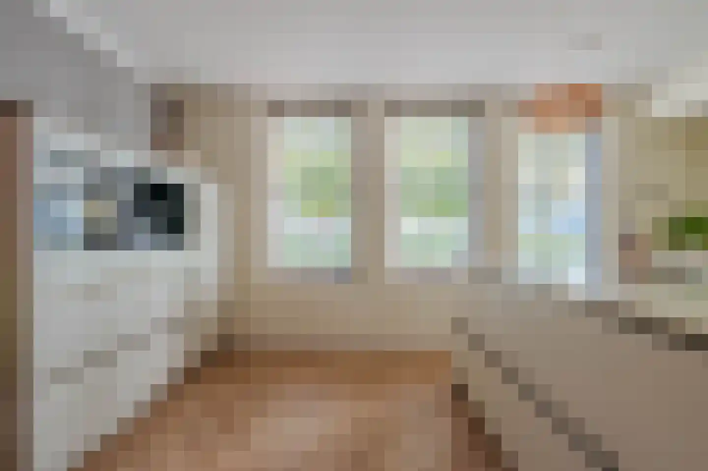 Klarenbeemden 54 Helmond thumbnail 18