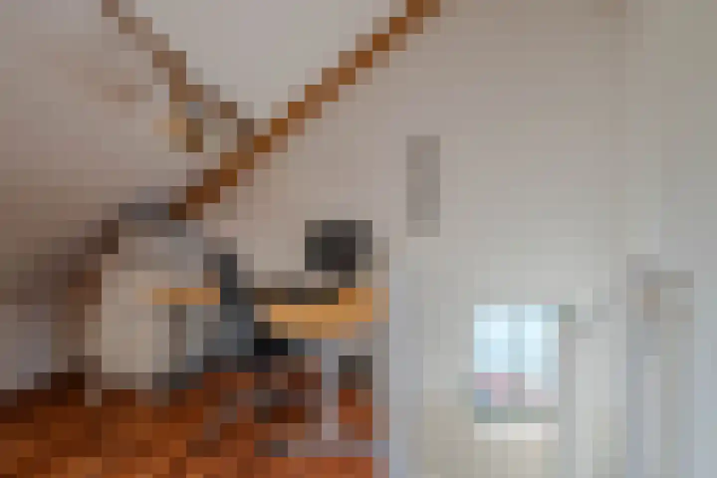 Klarenbeemden 54 Helmond thumbnail 41