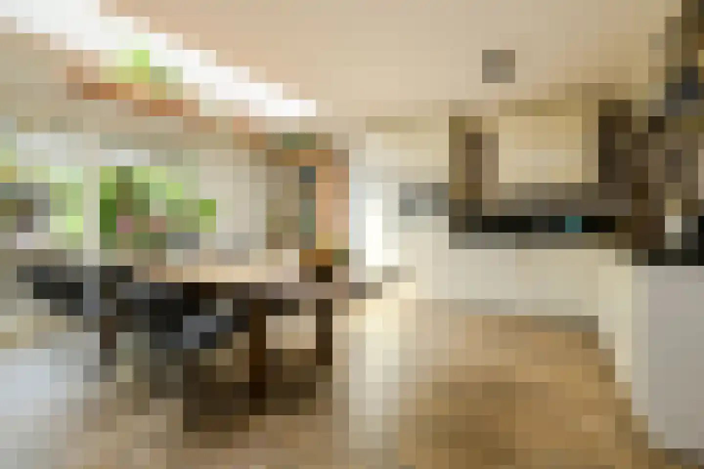 Klarenberg 5 Breda thumbnail 10