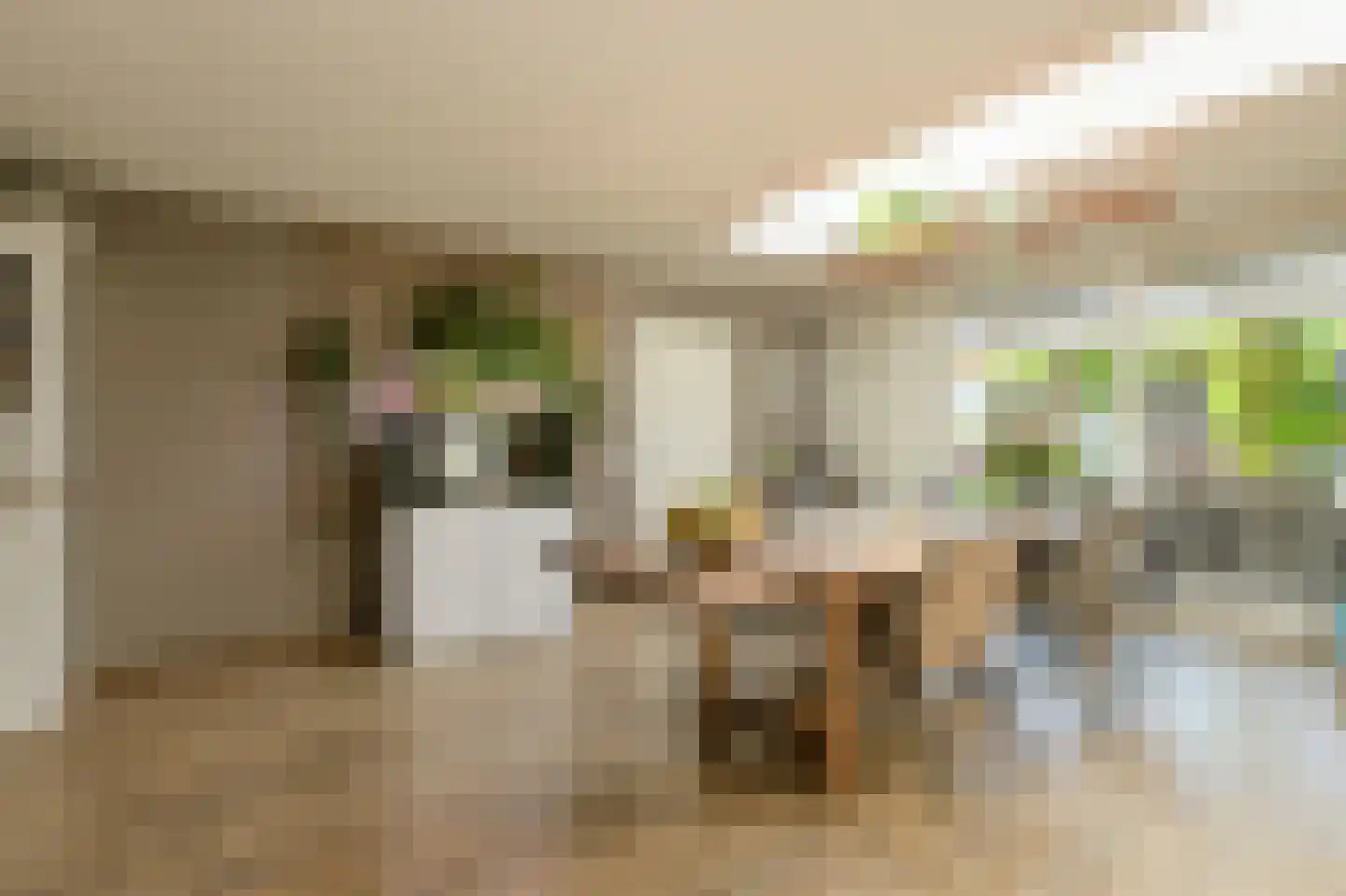 Klarenberg 5 Breda thumbnail 12