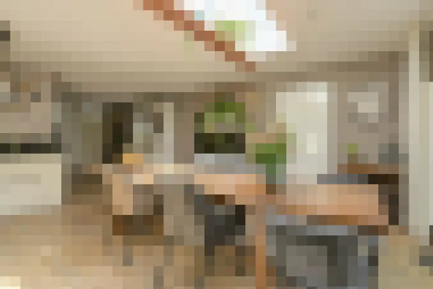 Klarenberg 5 Breda thumbnail 13