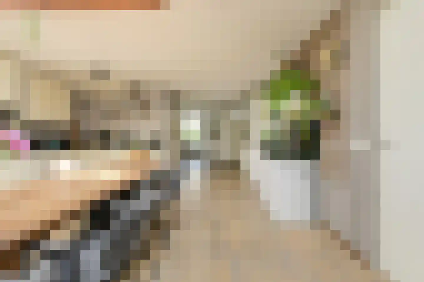 Klarenberg 5 Breda thumbnail 15