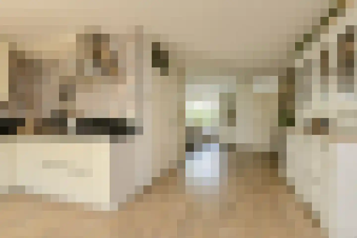 Klarenberg 5 Breda thumbnail 17