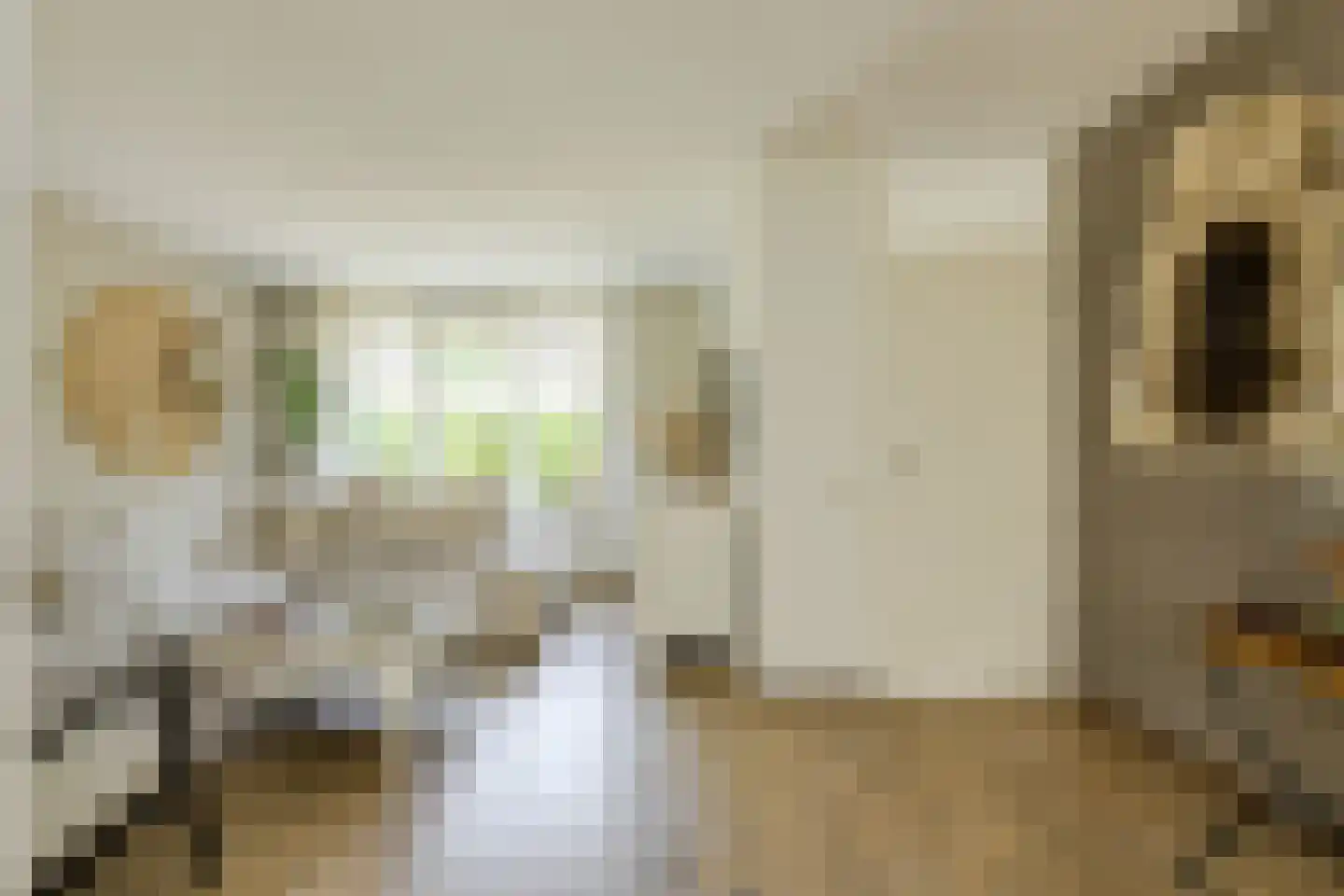Klarenberg 5 Breda thumbnail 18