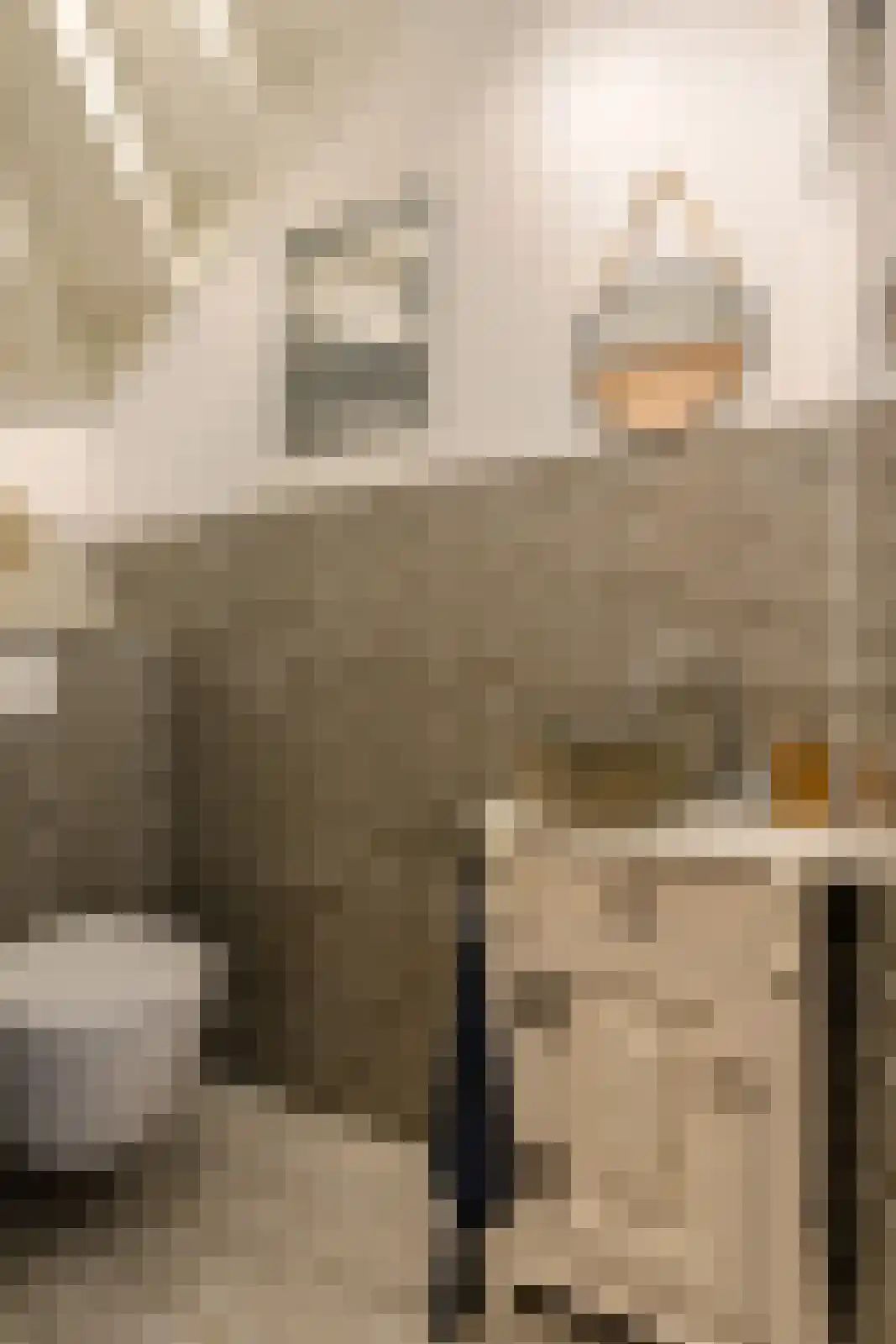 Klarenberg 5 Breda thumbnail 26
