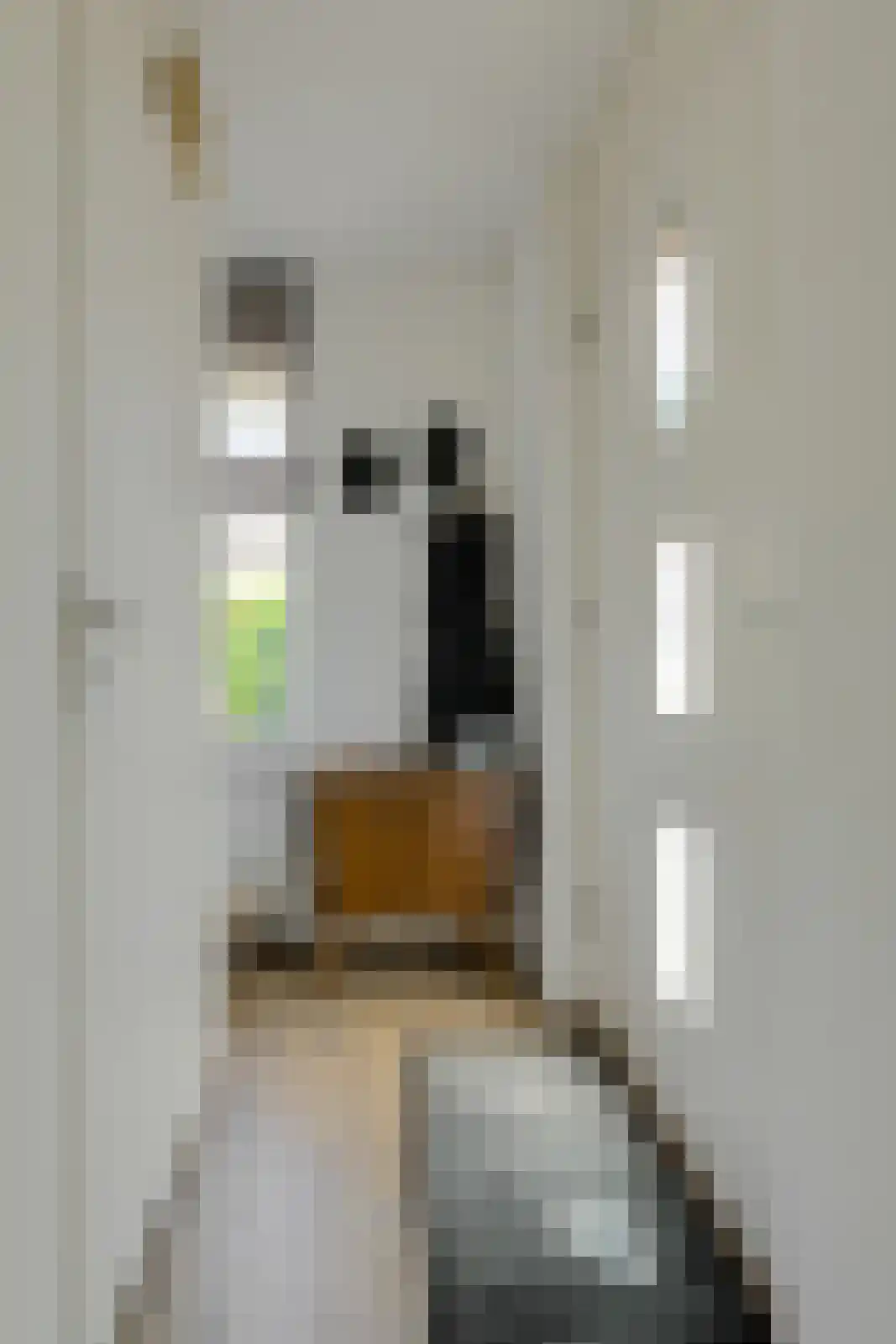Klarenberg 5 Breda thumbnail 27