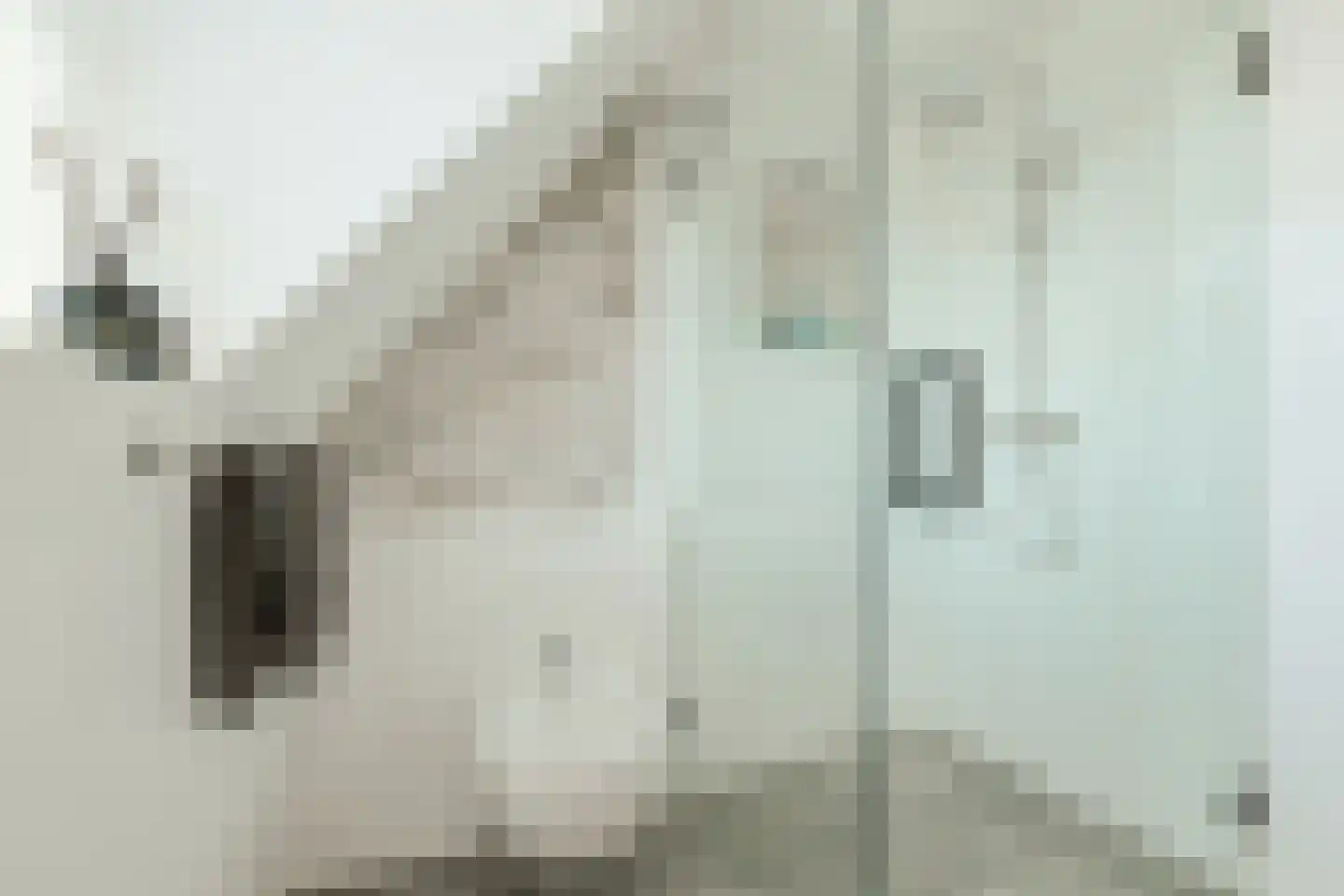Klarenberg 5 Breda thumbnail 33